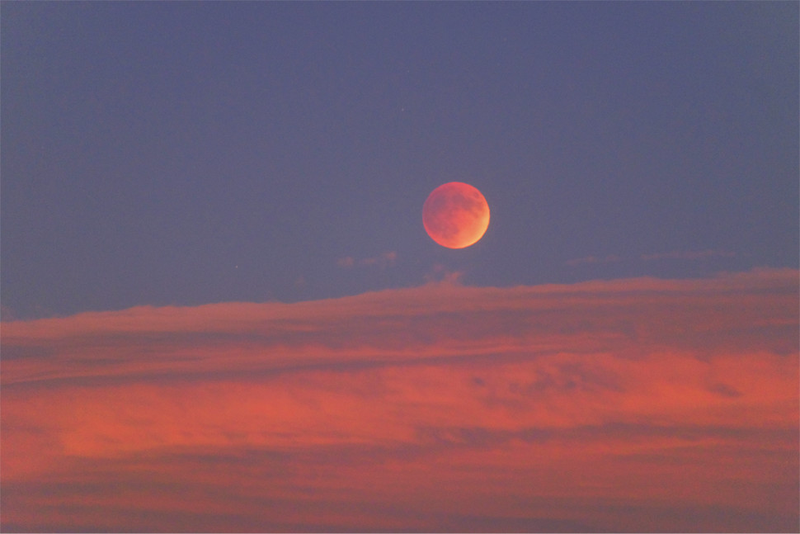 Illustration for article titled 34 Amazing Photos Of The Super Blood Moon